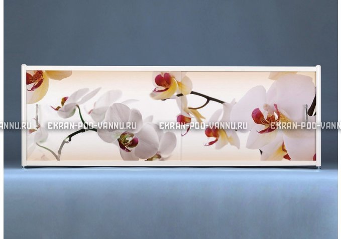 Раздвижной ФОТО экран - Orchid – купить по цене 8500 руб. в интернет-магазине в городе Тольятти картинка 1