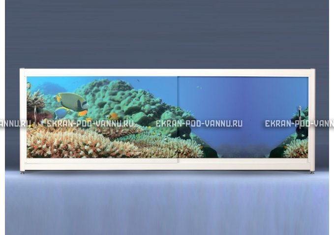 Экран на роликах EUROPLEX Коралловые рифы – купить по цене 12400 руб. в интернет-магазине в городе Тольятти картинка 1